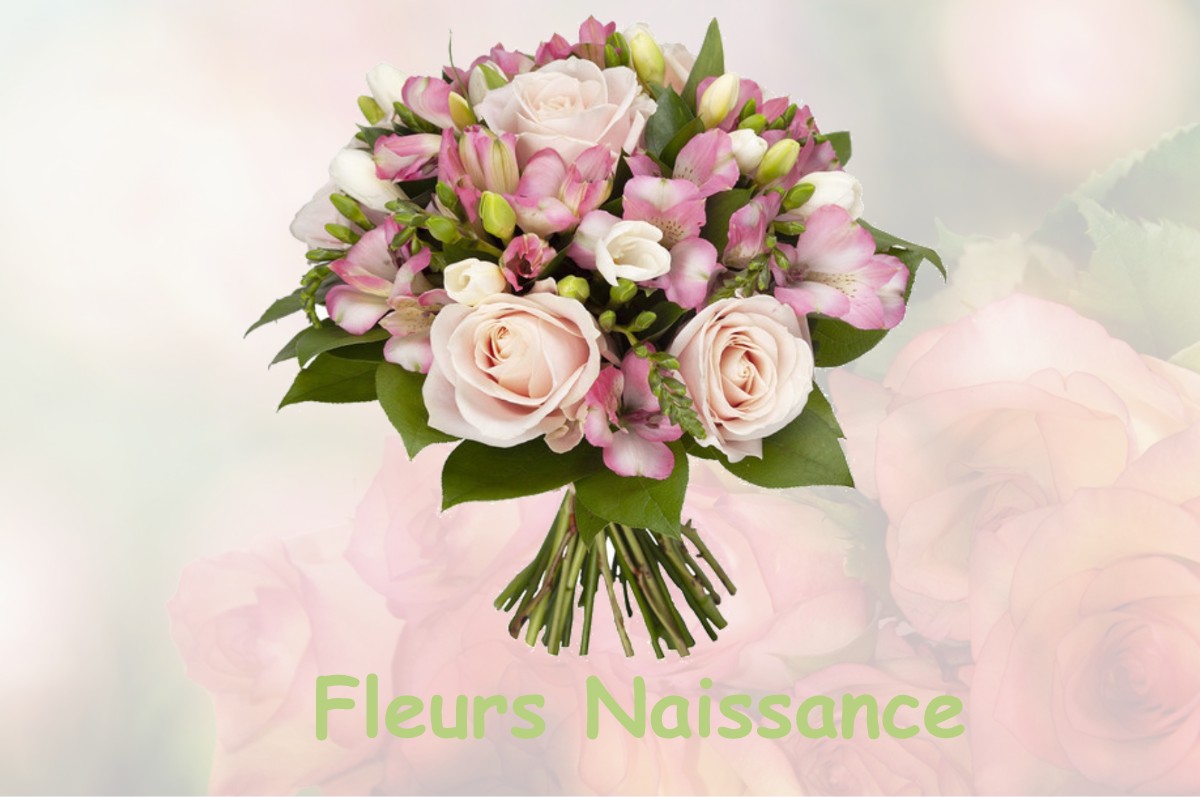 fleurs naissance SAINT-MARTIN-DE-BOUBAUX